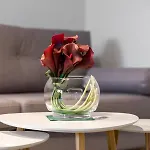 Marcelin Estate By Renters