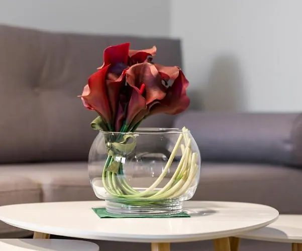 Marcelin Estate By Renters